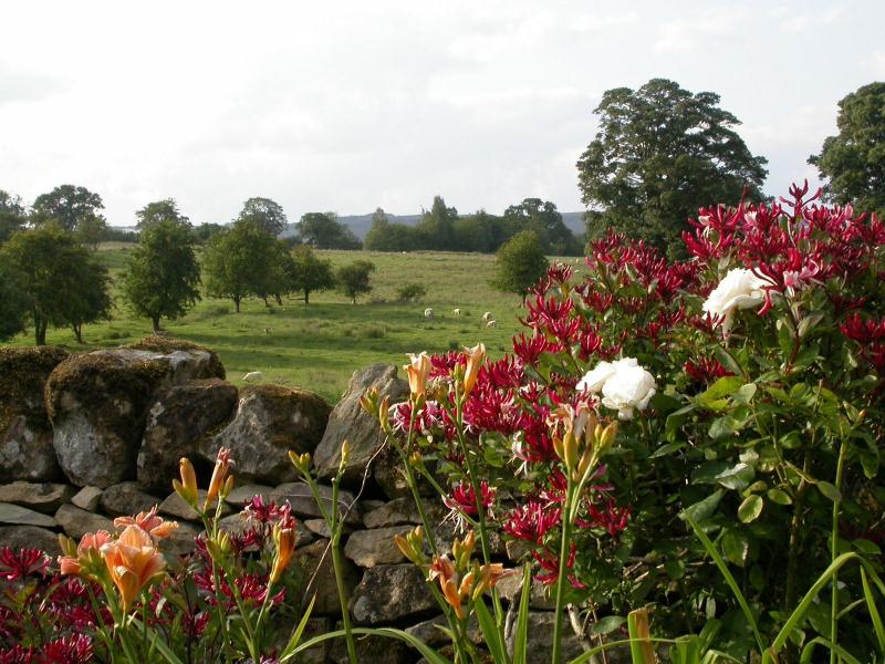 Shandy Hall Gardens